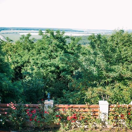 Peresecina Curtea Boierului Hotel מראה חיצוני תמונה